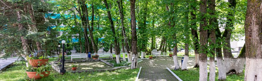 Лесной парк у санатория им. 30-летия Победы — фото 4